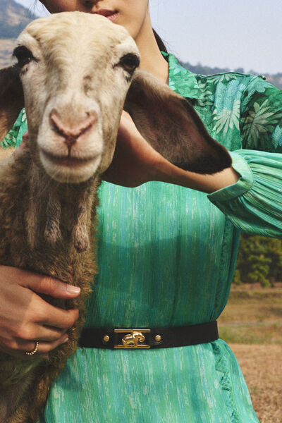 The Haathi Belt - Nocturnal Black