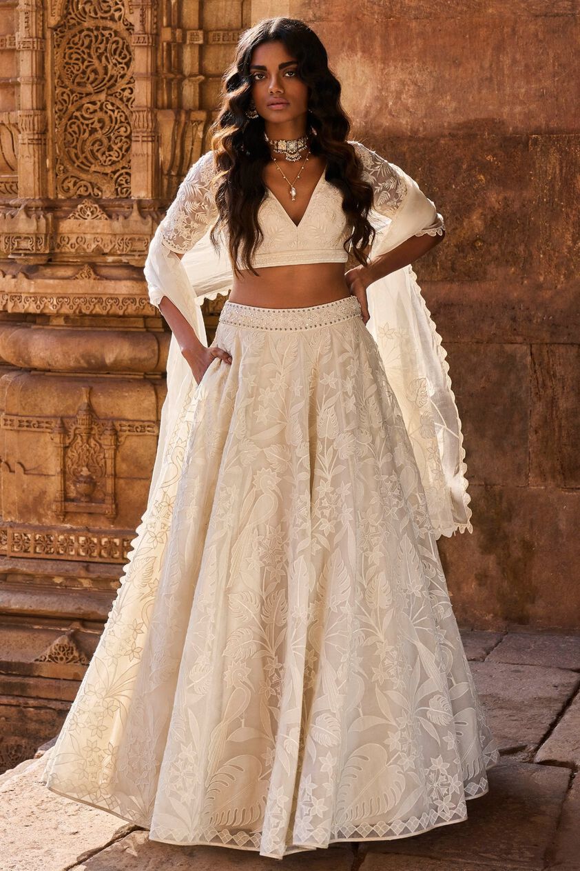 1 - Wild Herons Lehenga Set - Natural, image 1