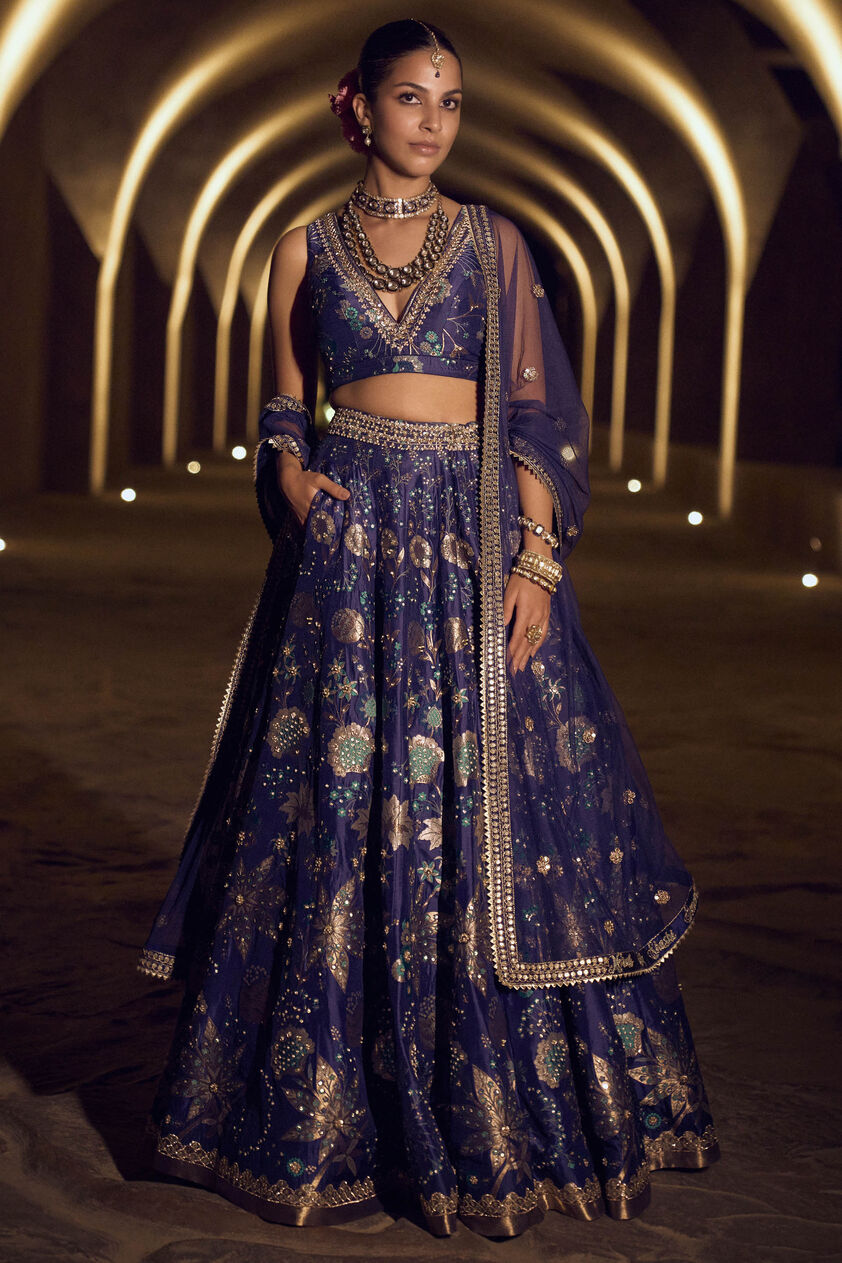 Bhramana Lehenga Set-Blue, Blue, image 1