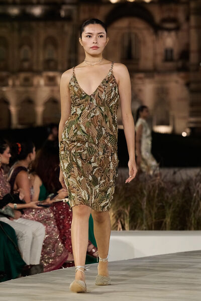 Thalora Embroidered Dress - Brown