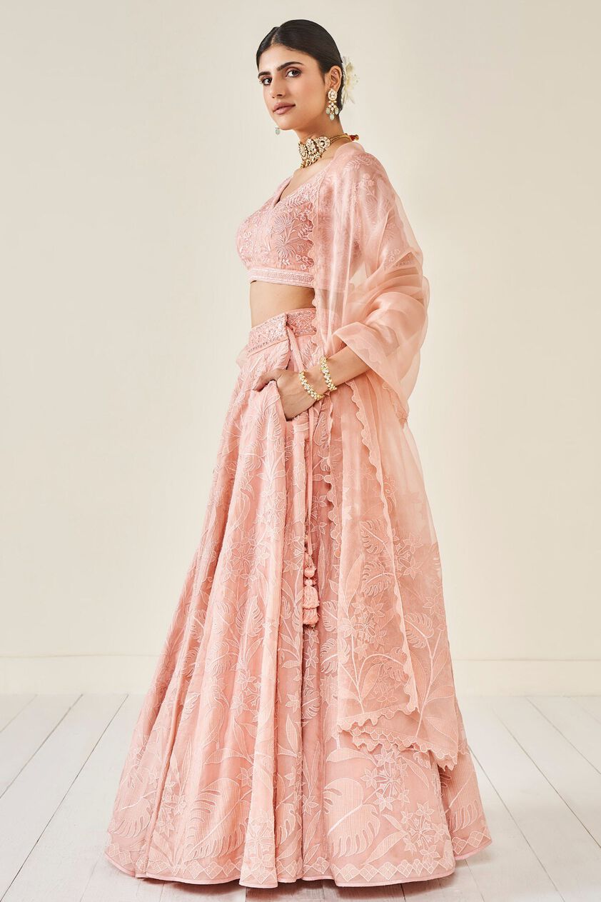 2 - Wild Herons Lehenga Set - Blush, image 2