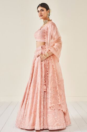 2 - Wild Herons Lehenga Set - Blush, image 2