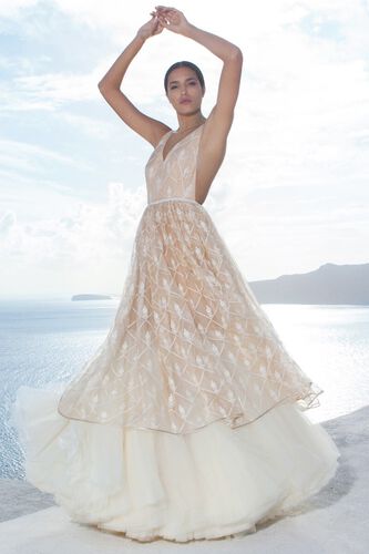 1 - Anneliese Gown, image 1
