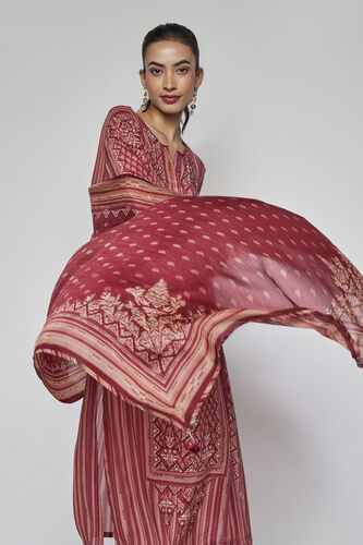 Savani Embroidered Suit Set - Wine, Wine, image 6