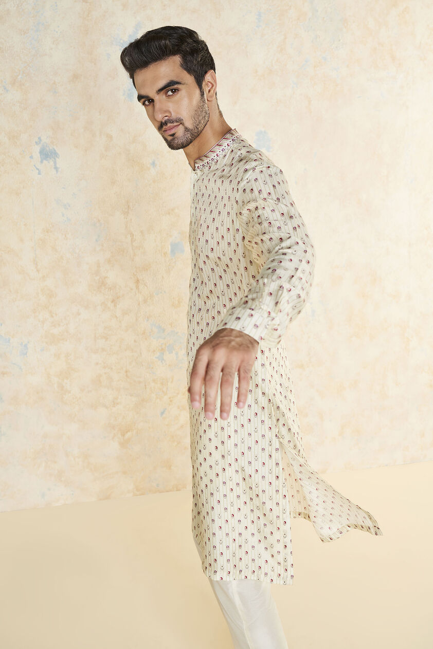 Aadhavan Kurta - Multi, Multi, image 6