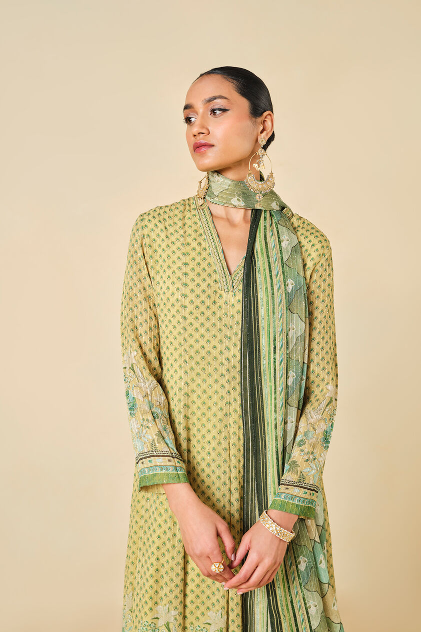 Myuna Printed Anarkali Set - Lime, Lime, image 4