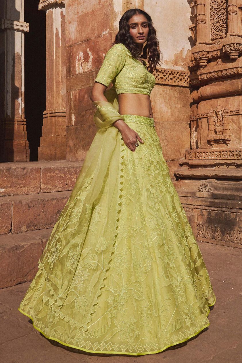 3 - Wild Herons Lehenga Set - Lime, image 3