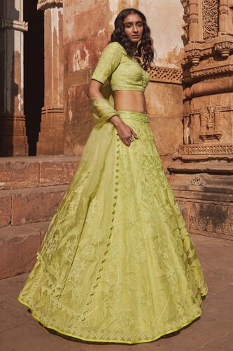 3 - Wild Herons Lehenga Set - Lime, image 3