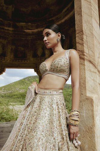 Mridhini Zardozi & Resham Silk Lehenga - Beige, Beige, image 4