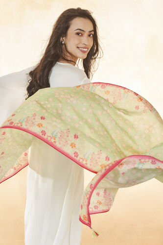 Shyla Dupatta - Sage, Sage, image 2