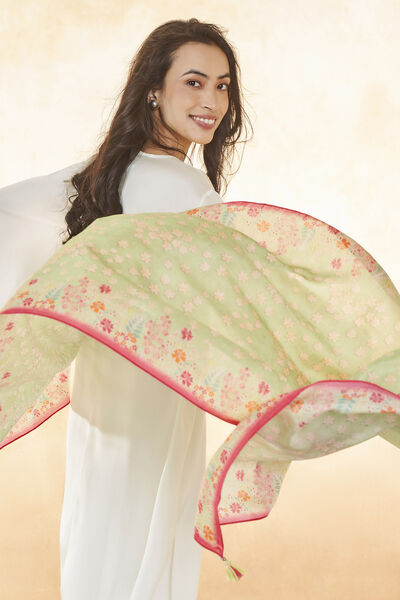 Shyla Dupatta - Sage
