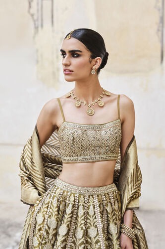 Adveka Handwoven Benarasi Silk Lehenga Set - Olive, Olive, image 7