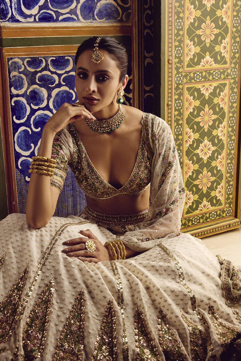 Sarojam Handwoven Benarasi Lehenga Set - Ivory, Ivory, image 7