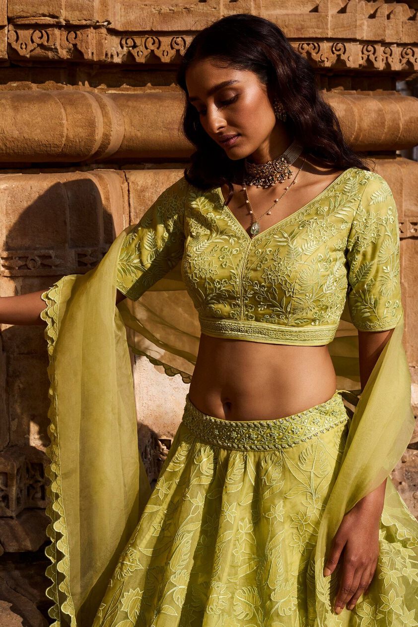5 - Wild Herons Lehenga Set - Lime, image 5