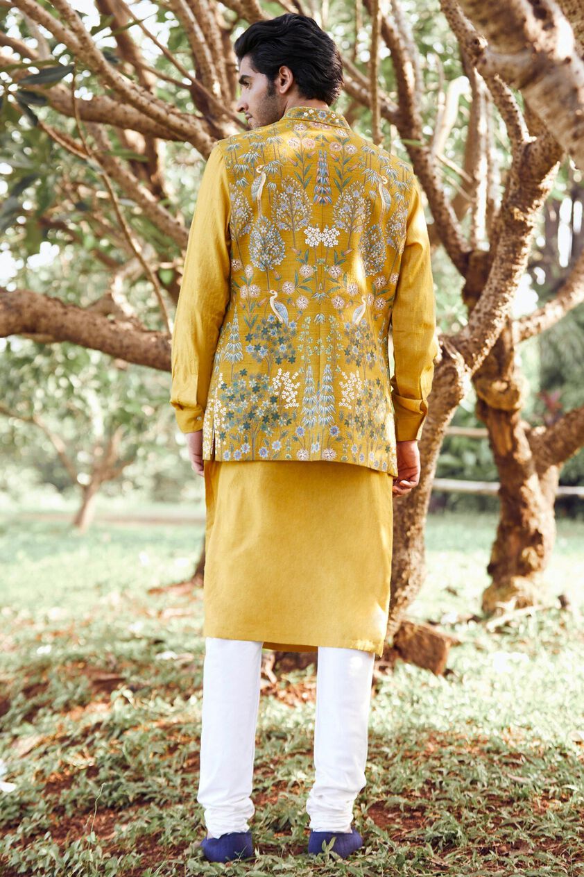 2 - Jaiden Pichhwai Bandi, image 2