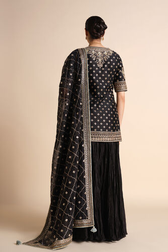Sahasra Gota Patti Silk Sharara Set - Black, Black, image 2