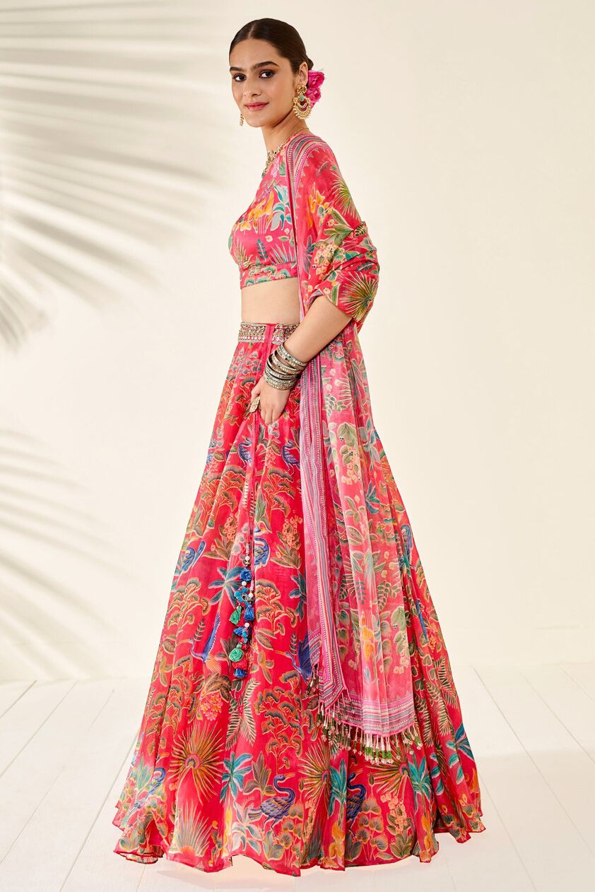 2 - Swan Song Lehenga Set - Pink, image 2