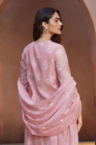 Zaiba Suit Set - Blush, Blush, image 5