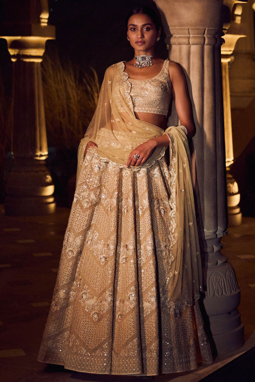 Pranayi Lehenga - Nude, Nude, image 1