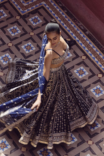 Triyama Embroidered Silk Lehenga Set - Blue, Blue, image 4