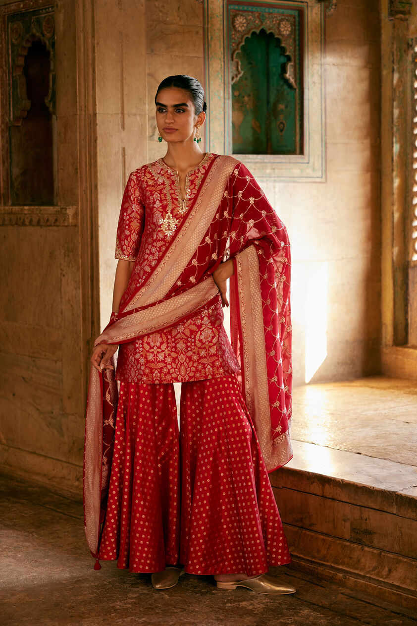 Khevna Handwoven Benarasi Silk Sharara Set - Red, Red, image 1