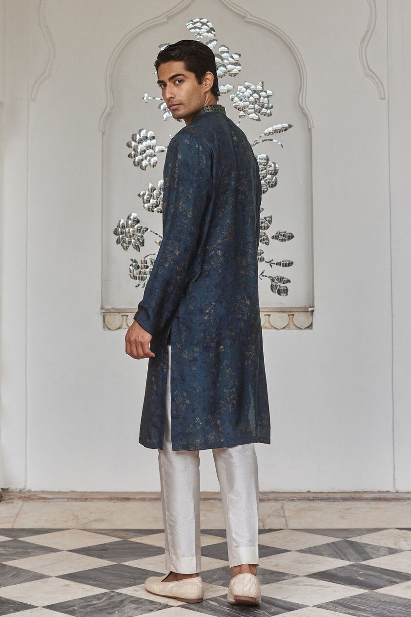 Almog Silk Kurta - Blue, Blue, image 2