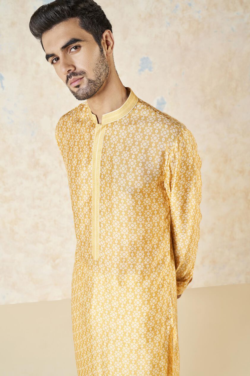 Iravan Silk Kurta - Mustard, Mustard, image 4