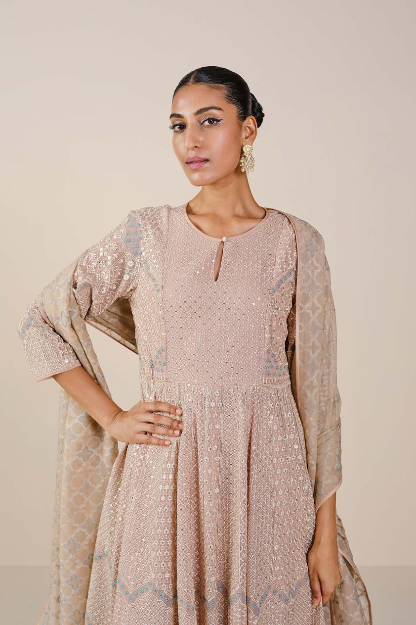Ryka Embroidered Organza Suit Set - Beige, Beige, image 4