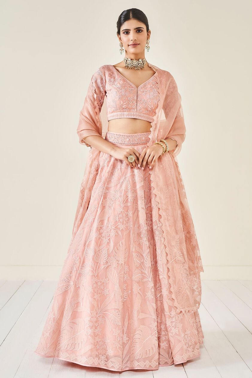 1 - Wild Herons Lehenga Set - Blush, image 1