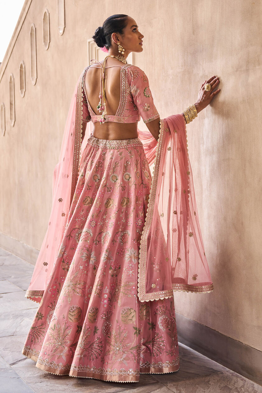 Bhramana Lehenga Set - Blush, Blush, image 2