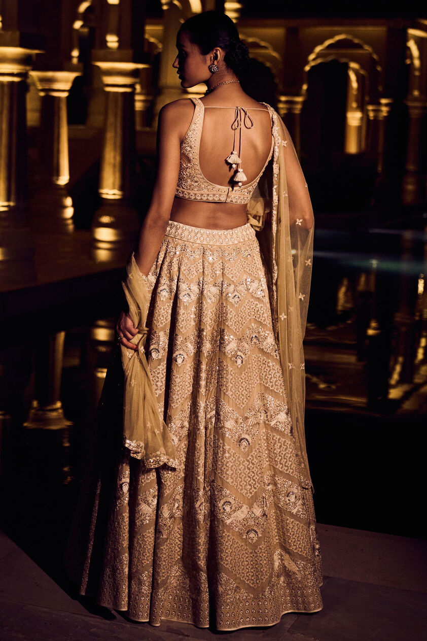Pranayi Lehenga - Nude, Nude, image 2